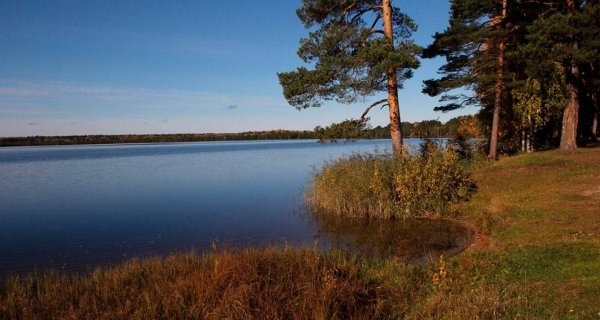 Светлое озеро 2 Колпашево