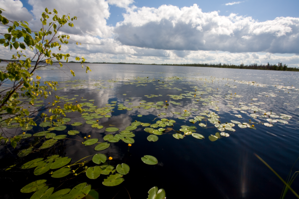 Озеро белое Парабельский район