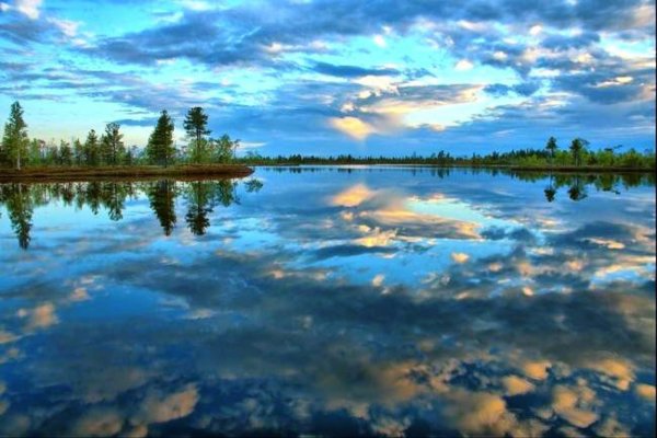 Васюганские болота Томская область