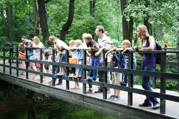 Экскурсия в парке