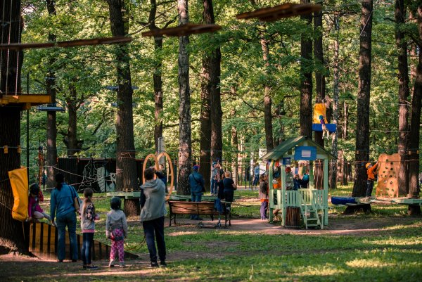 Веревочный парк парк Толстого