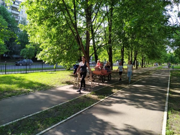 Школьный парк Бирюлёво Западное