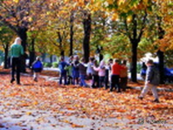 Дети на экскурсии в парке