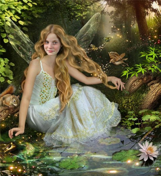 Пазлы Фея Шлик