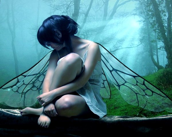 Грустная бабочка