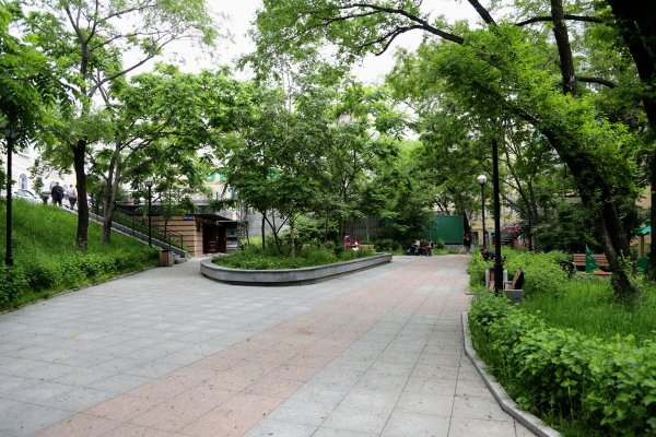 Парк сквер Владивосток