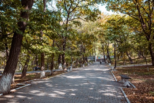 Покровский парк Владивосток