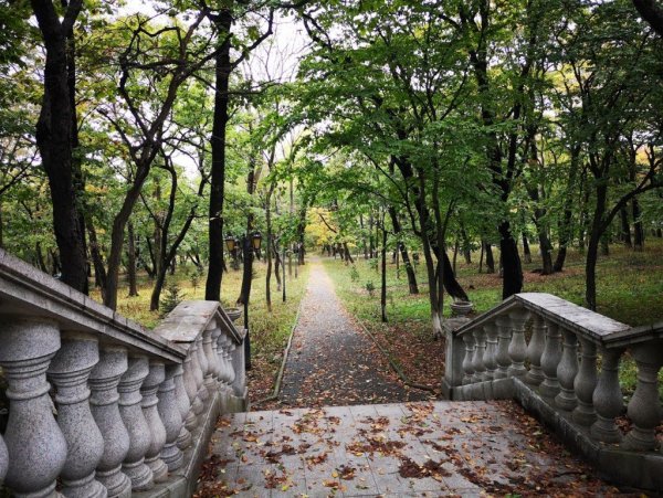 Покровский парк Владивосток