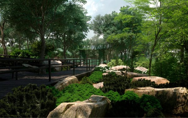 Городской парк Владивосток