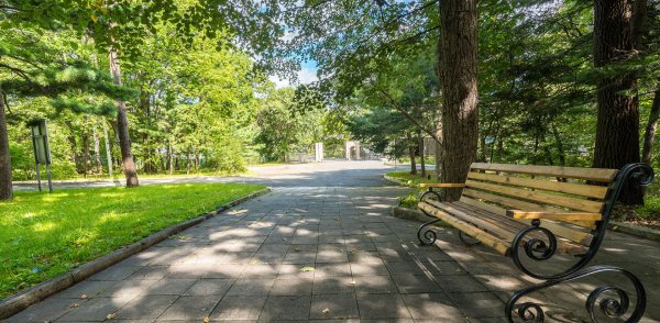 Седанка парк отель Владивосток