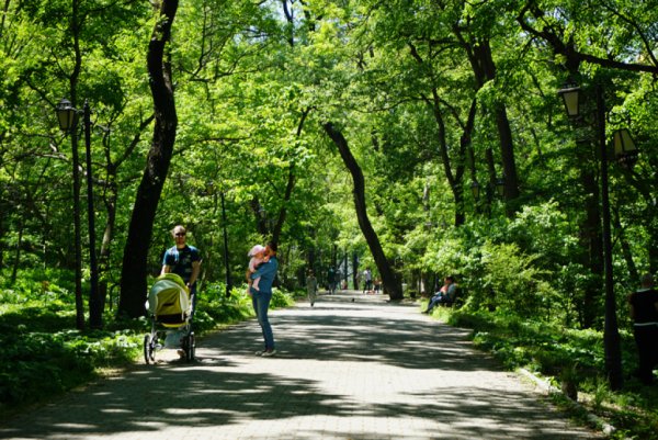 Покровский парк Владивосток