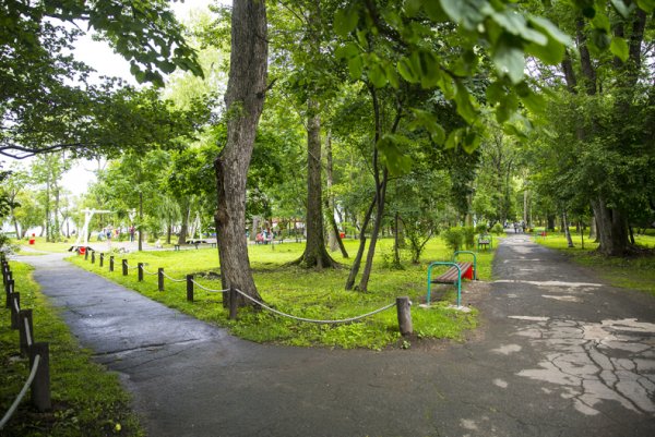 Парк на Санаторной Владивосток