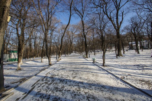 Покровский парк Владивосток Весна