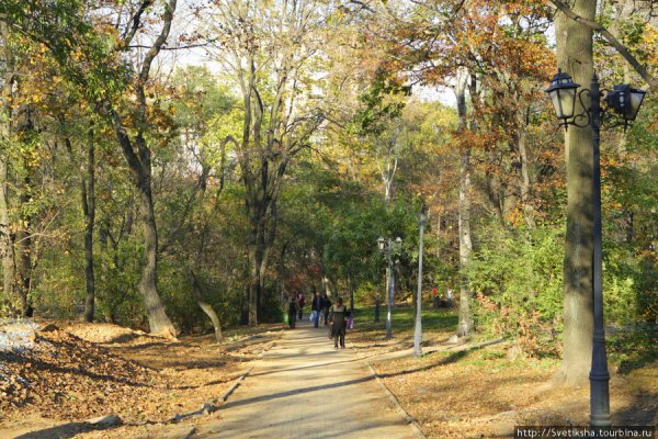 Покровского парка Владивосток