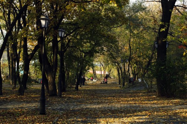 Покровский парк Владивосток лето