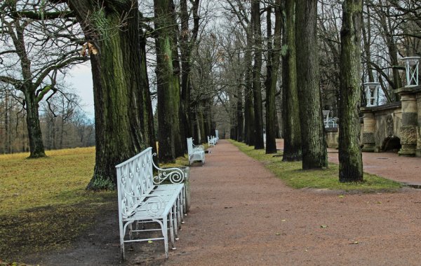 Екатерининский парк аллея