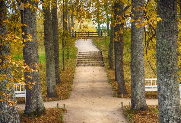 Музей усадьба Михайловское парк