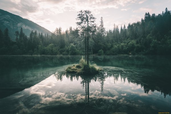 Лес Триллемарка-Роллагсфьелл