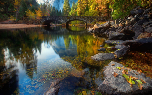 Лес озеро камни