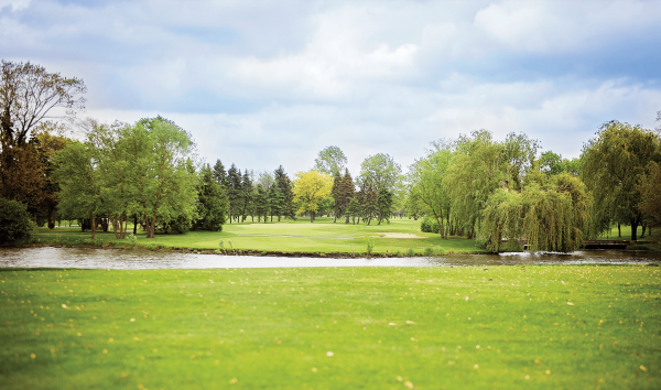 Удельный парк панорама