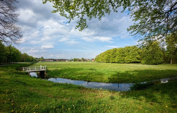 Поляна с речкой