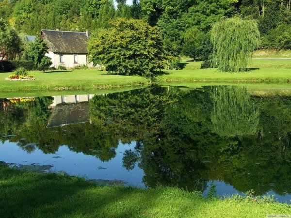 Природа деревня