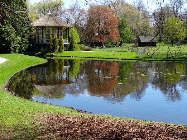 Корнелл территория сада пруд речка