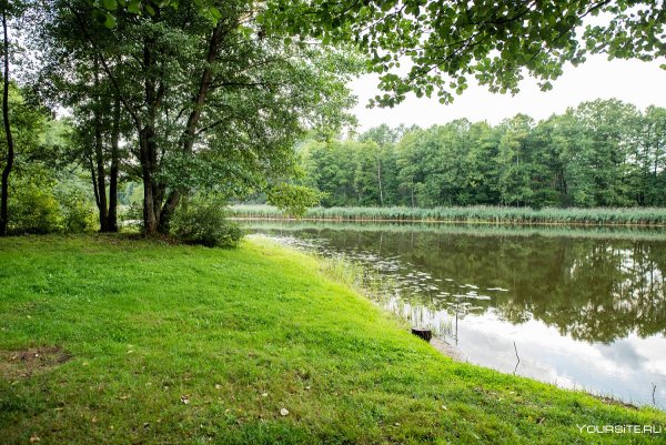 Таганрог Лесная Поляна озеро