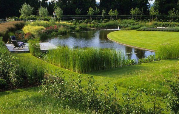 Пейзажный стиль пруд зона отдыха