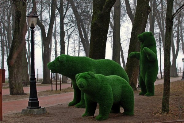 Калуга парк с драконами