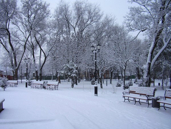 Калуга зима парк