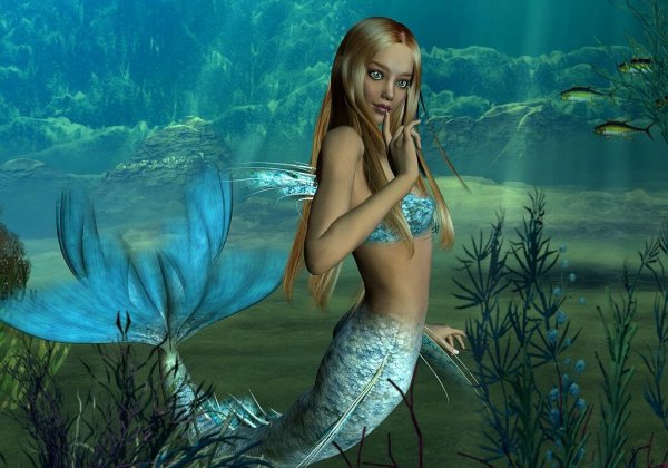 Русалка и человек