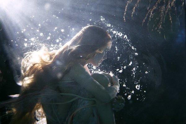 Навка Русалка Болотная