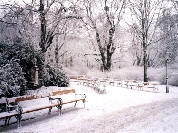 Зимний пейзаж парк