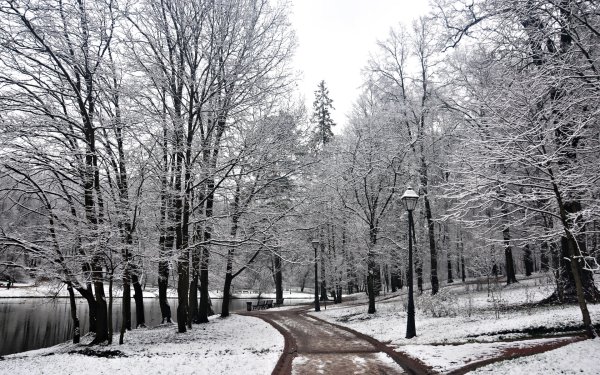 Первый снег в парке