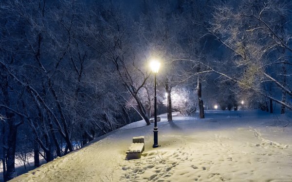 Заснеженный парк вечером