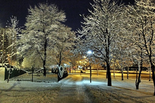 Зимний парк в городе