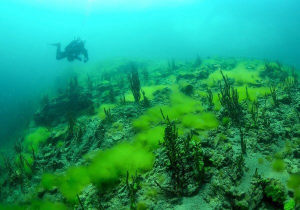 Озеро Байкал дно озера