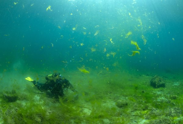 Подводный мир озера Байкал