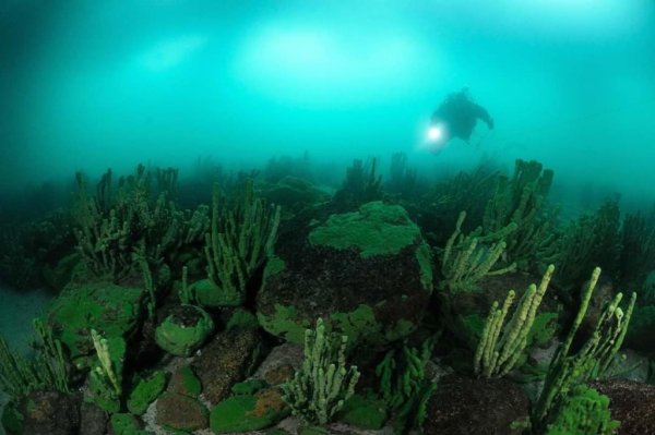 Озеро Байкал дно озера