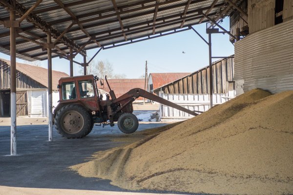 Совхозный. Парк тракторов