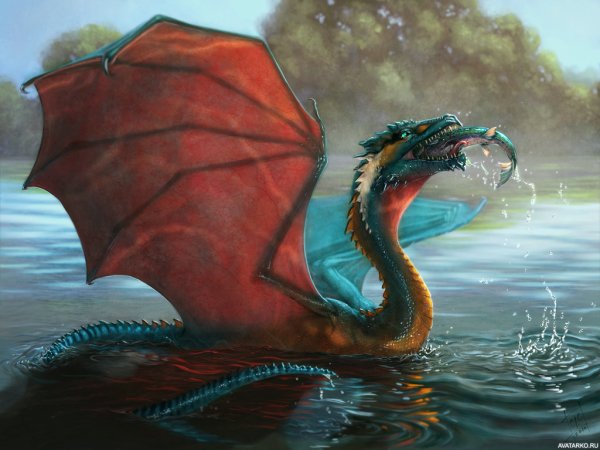 Водный дракон