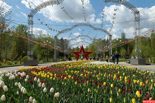 Город в цвету Белгород 2022