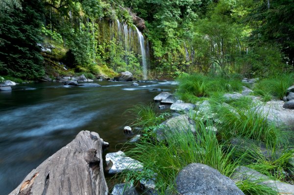 Ручей в долине Калифорнии