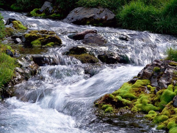 Река Шкелюк