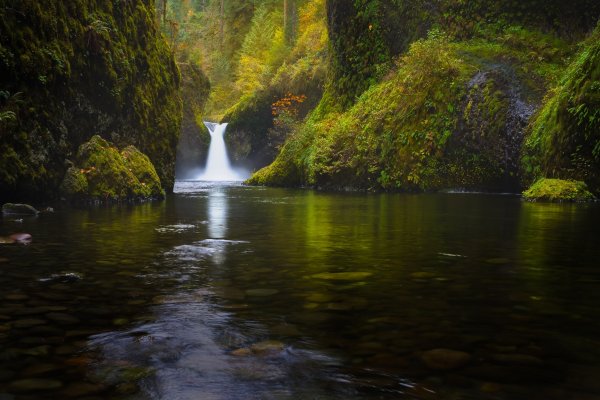 Лес река водопад