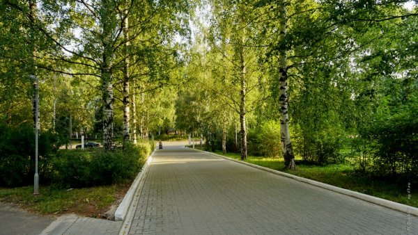 Парк Кирова Ижевск лето