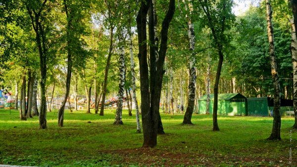 Парк Кирова Сыктывкар