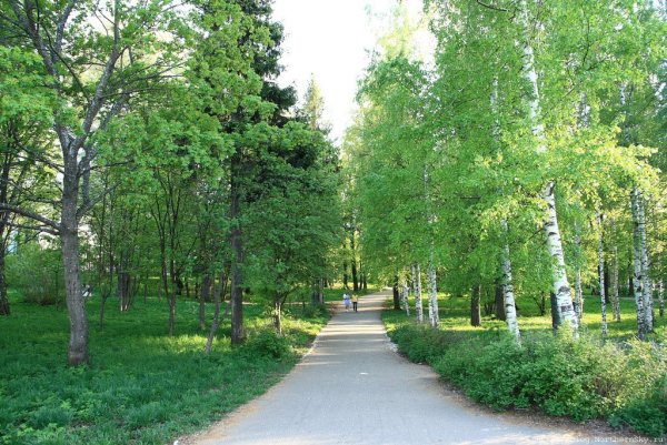 Александровский парк Киров