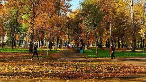 Гагаринский парк Киров